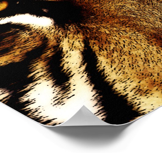 Ogen op een tijger poster (Hoek)