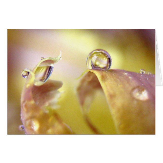 Ogen op Iris-kaart (Voorkant Horizontaal)