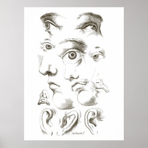 Ogen, Profiel, Oortekening, 17e eeuw, vintage Poster