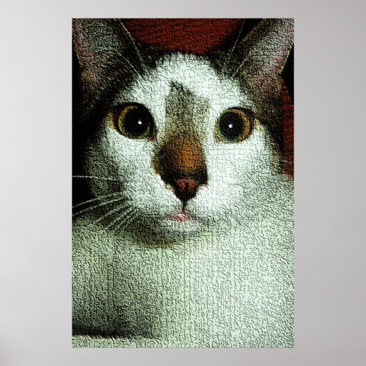Ogen van Bud Poster (Voorkant)