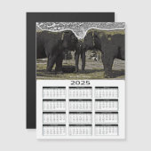 Ogen van de olifant 2025 Kalender (Voorkant / Achterkant)