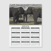 Ogen van de olifant 2025 Kalender (Voorkant)