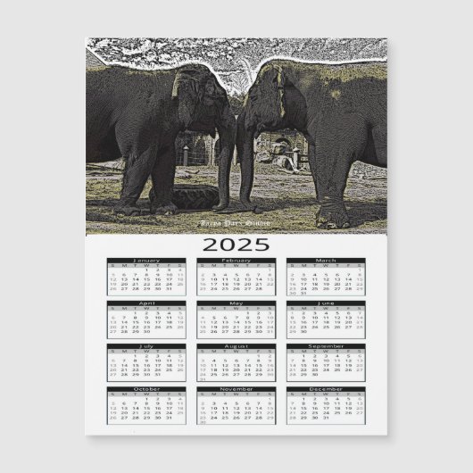 Ogen van de olifant 2025 Kalender (Voorkant)
