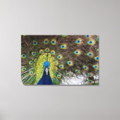Ogen van de pauw canvas afdruk (Voorkant)