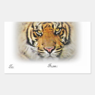 Ogen van de tijger, Love_ Rechthoekige Sticker
