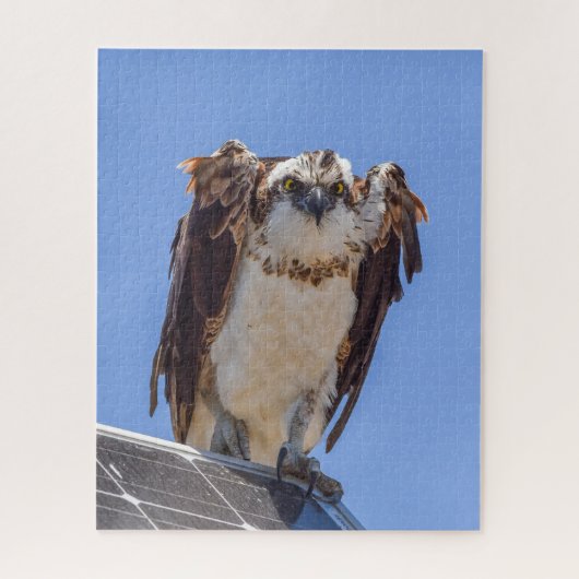 Ogen van de Visarend Legpuzzel (Verticaal)