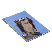 Ogen van de Visarend Notitieboek (Rechterzijde)