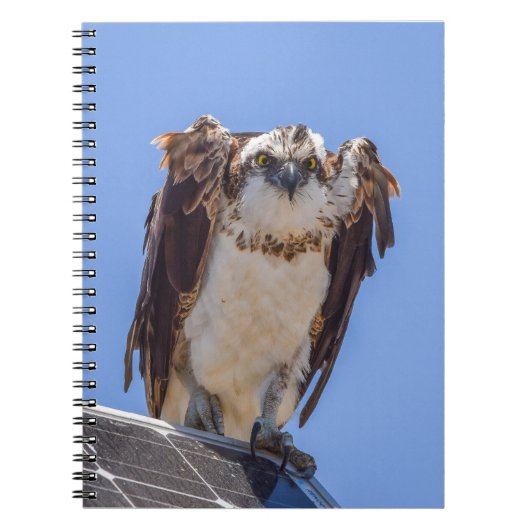 Ogen van de Visarend Notitieboek (Voorkant)
