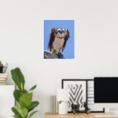 Ogen van de Visarend Poster (Thuiskantoor)