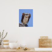 Ogen van de Visarend Poster (Keuken)