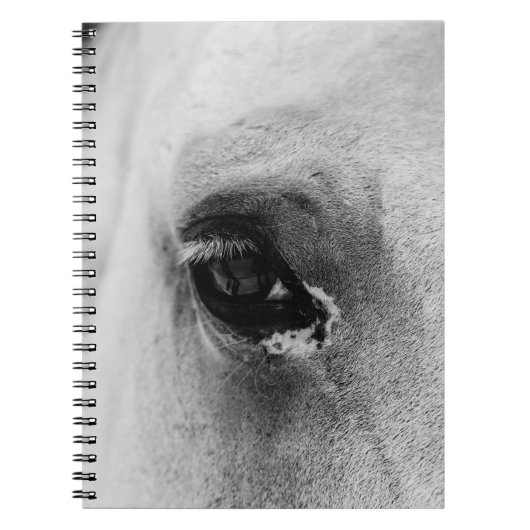 OGEN VAN DE WITTE HORSE NOTITIEBOEK (Voorkant)