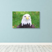 Ogen van een adelaar canvas afdruk (Insitu (Houten vloer))