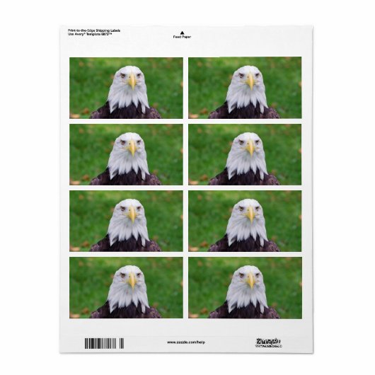 Ogen van een adelaar etiket (Full Sheet)
