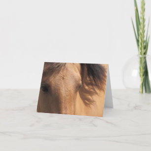 Ogen van een bruine Kaart voor noot van paarden