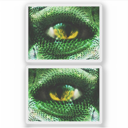 * Ogen van een ??? Sticker (Voorkant)