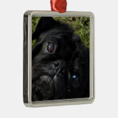 ogen van een zwarte pug metalen ornament (Rechts)