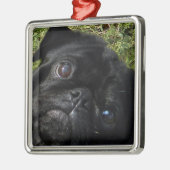ogen van een zwarte pug metalen ornament (Links)