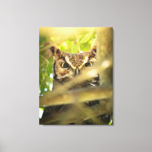 Ogen van het bos (Grote gehoornde uil) Canvas Afdruk