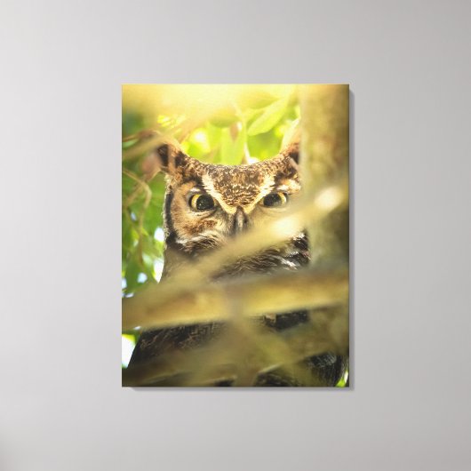 Ogen van het bos (Grote gehoornde uil) Canvas Afdruk (Voorkant)