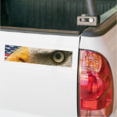OGEN VAN HET ELGF (VS PATRIOTISCH AMERIKAANS) BUMPERSTICKER (Op Truck)