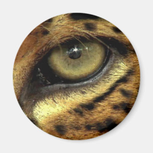OGEN VAN JAGUAR Round Magnet