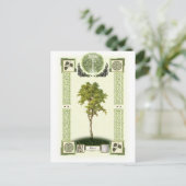 Ogham Birch Briefkaart (Staand voorkant)