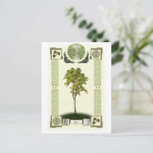 Ogham Birch Briefkaart (Staand voorkant)