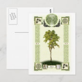 Ogham Birch Briefkaart (Voorkant / Achterkant)