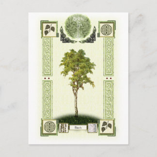 Ogham Birch Briefkaart