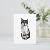 Ogie de kat briefkaart (Staand voorkant)