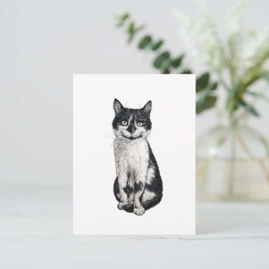 Ogie de kat briefkaart (Staand voorkant)