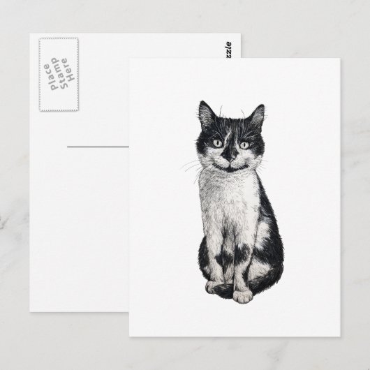 Ogie de kat briefkaart (Voorkant / Achterkant)