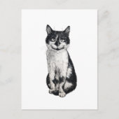 Ogie de kat briefkaart (Voorkant)