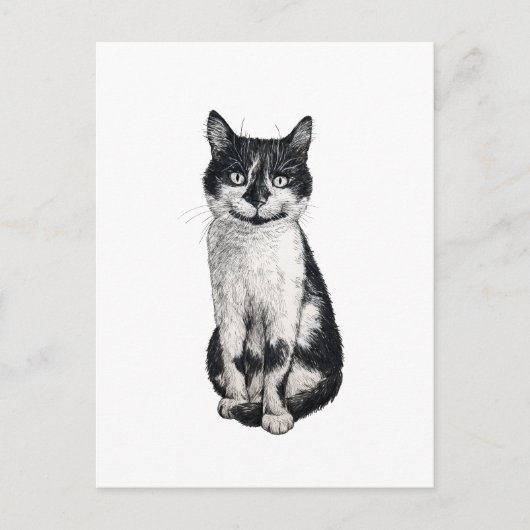 Ogie de kat briefkaart (Voorkant)