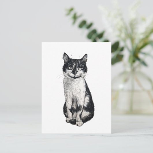 Ogie de kat briefkaart (Staand voorkant)