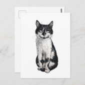 Ogie de kat briefkaart (Voorkant / Achterkant)