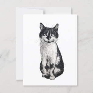 Ogie de kat briefkaart