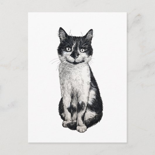 Ogie de kat briefkaart (Voorkant)