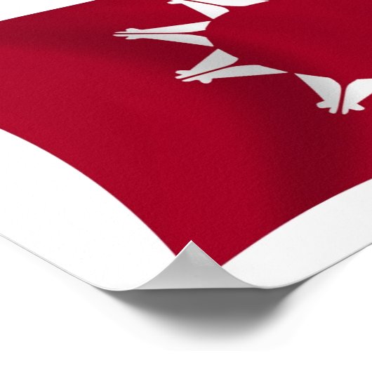 Oglala Lakota Flag Poster Print (Hoek)