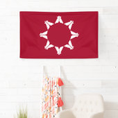 Oglala Lakota Sioux-vlag Spandoek (Insitu)