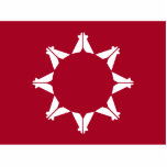 Oglala Lakota Sioux-vlag Staand Fotobeeldje<br><div class="desc">Pine Ridge Flag. Oglala Lakota Sioux Vlag. Zuid Dakota Native American vlag.</div>