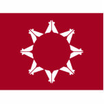 Oglala Lakota Sioux-vlag Staand Fotobeeldje<br><div class="desc">Pine Ridge Flag. Oglala Lakota Sioux Vlag. Zuid Dakota Native American vlag.</div>