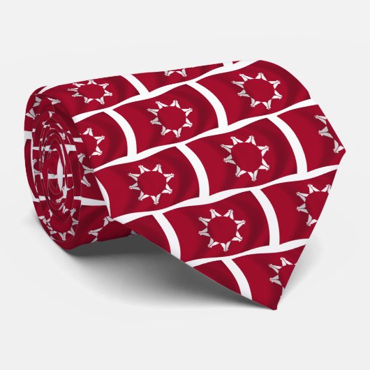 Oglala Lakota Vlag Tie Stropdas (Opgerold)
