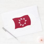 Oglala Lakota Vlagsticker Ovale Sticker (Envelop)