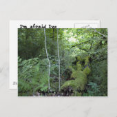 Oglebay Park, WV Briefkaart (Voorkant / Achterkant)