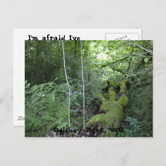 Oglebay Park, WV Briefkaart (Voorkant / Achterkant)