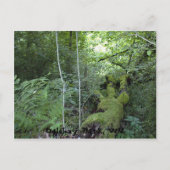 Oglebay Park, WV Briefkaart (Voorkant)