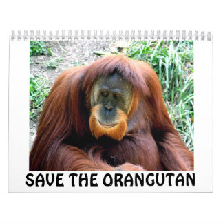 Ogoetan, BESPAAR DE ORANGUTAN Kalender
