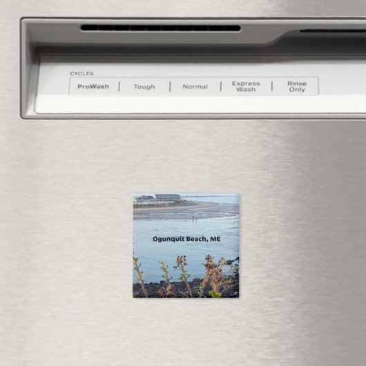 Ogunquit Beach, Maine Magneet (Insitu (Vaatwasser))