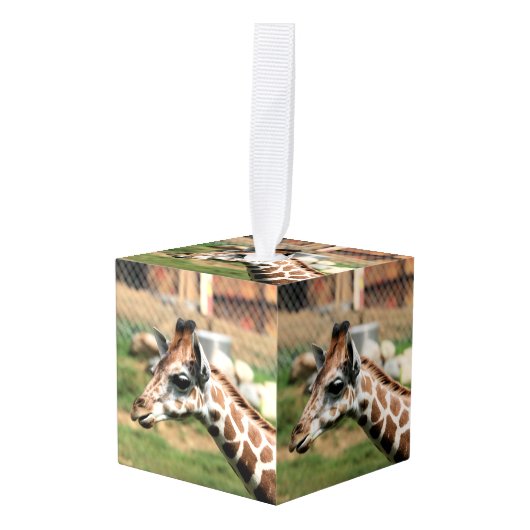 Oh baby ornament (Voorkant hoekig)
